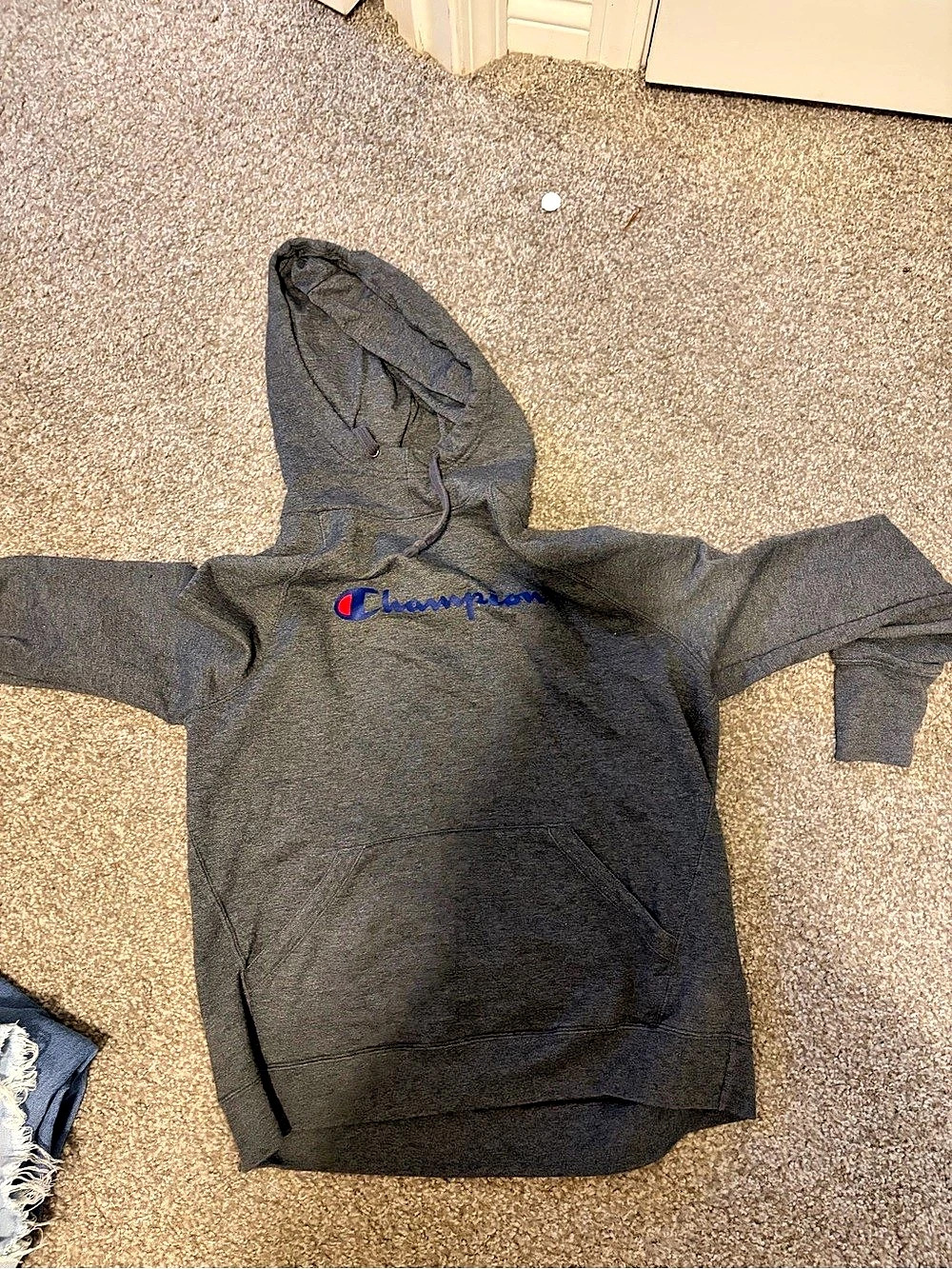 Champion Powerblend Full Script Logo Hoodie Pullover Hoodie in Gray Boys Medium